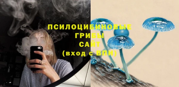 дмт Снежногорск