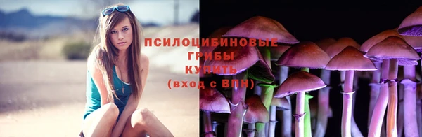 а пвп мука Осинники