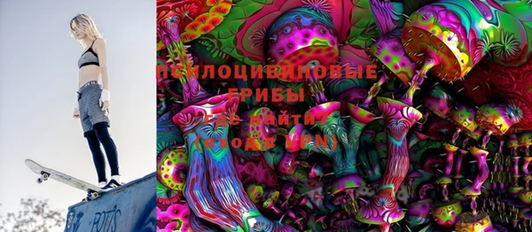 PSILOCYBIN Осташков