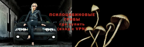 PSILOCYBIN Осташков