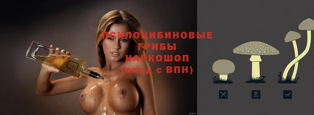 a pvp Тихвин