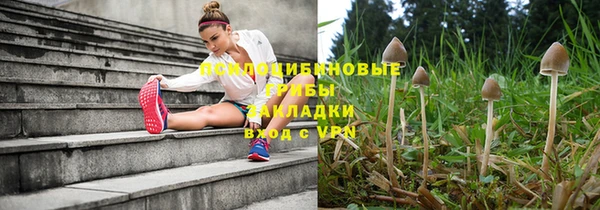 PSILOCYBIN Осташков