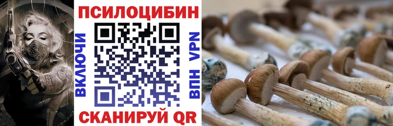 OMG ссылки  наркошоп  Правдинск  Псилоцибиновые грибы Cubensis 